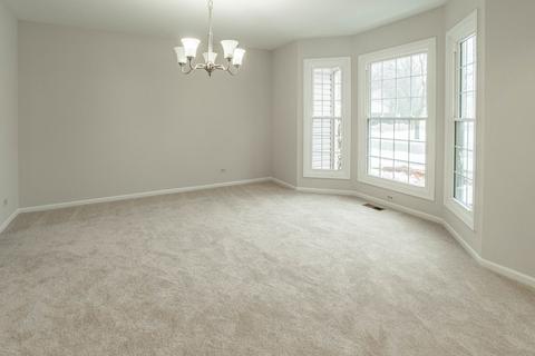 1291 Cobblers Crossing Ct, Elgin, IL 60120 photo 4
