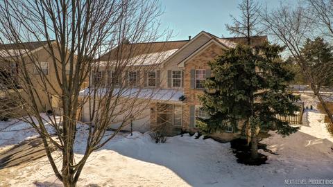 2257 Moser Ln, Algonquin, IL 60102 photo 39