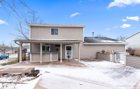421 Shagbark Ct, Algonquin, IL 60102 photo 20