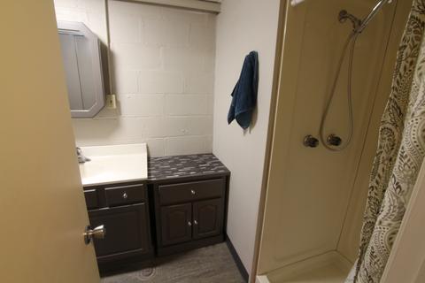 1405 Maplewood Dr, Normal, IL 61761 photo 24