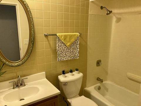121 Gregory St #8, Aurora, IL 60504 photo 18