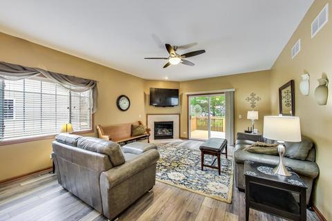 1317 Dancing Bear Ln, Elgin, IL 60120 photo 2