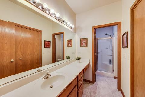 1317 Dancing Bear Ln, Elgin, IL 60120 photo 11