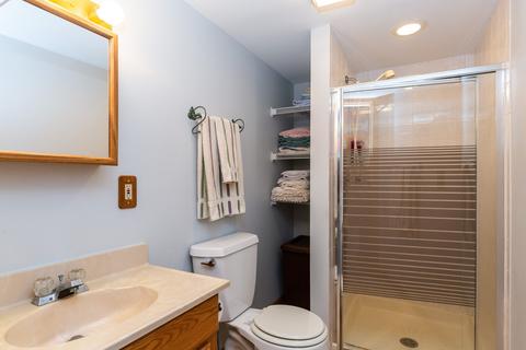 1031 Martingale Dr, Bartlett, IL 60103 photo 10