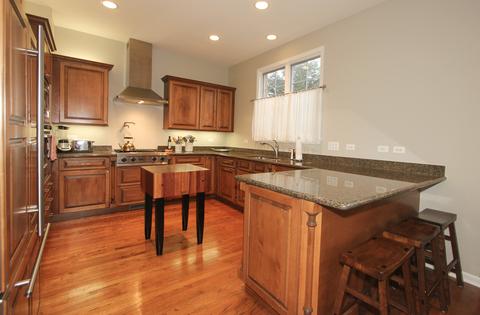 8 Park Ave, River Forest, IL 60305 photo 8