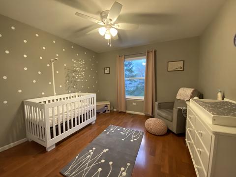 710 Lilac Dr, Algonquin, IL 60102 photo 29