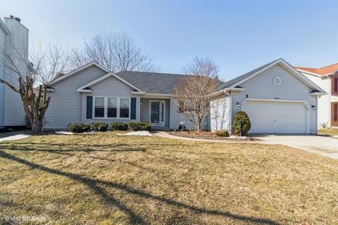 1815 Chestnut Hill Rd, Plainfield, IL 60586 photo 1