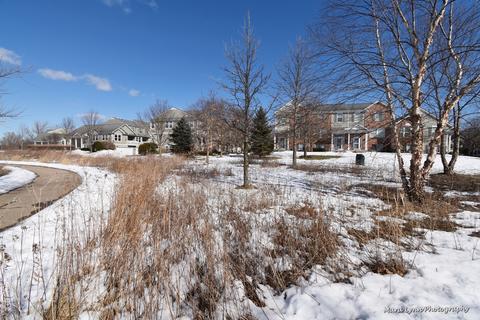 2496 Emily Ln, Elgin, IL 60124 photo 26