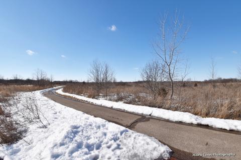 2496 Emily Ln, Elgin, IL 60124 photo 28