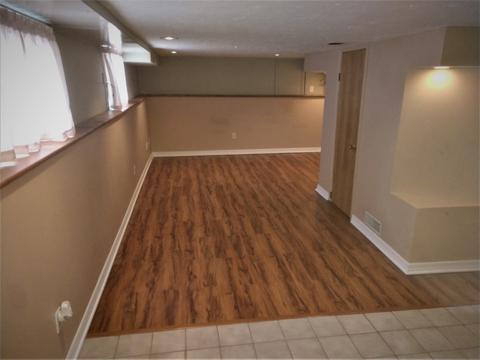 232 E Maple Ave, Roselle, IL 60172 photo 10