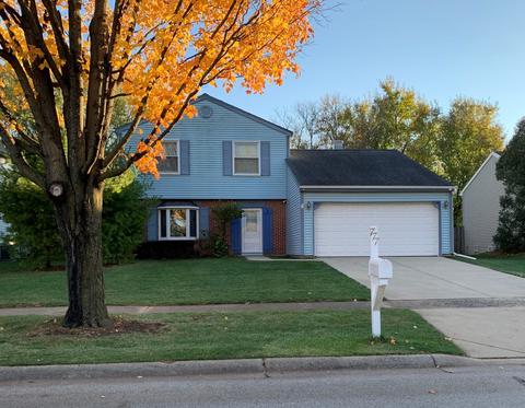 777 W Appletree Ln, Bartlett, IL 60103 photo 1