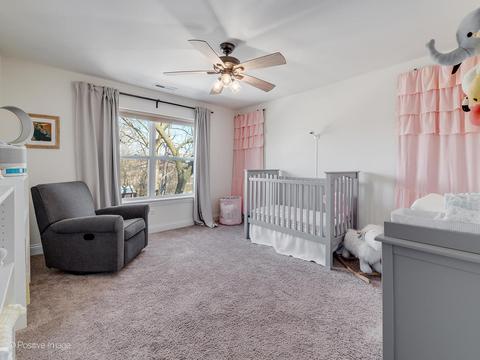 525 W 3rd St, Elmhurst, IL 60126 photo 23