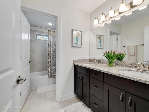 525 W 3rd St, Elmhurst, IL 60126 photo 25