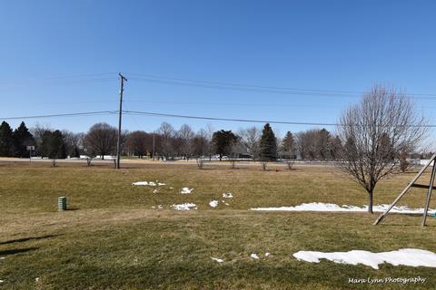 16432 Fairfield Dr, Plainfield, IL 60544 photo 47
