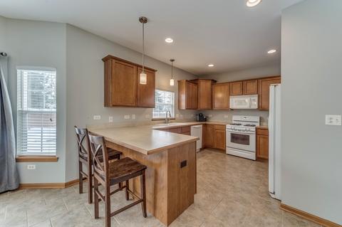 16341 Springview Dr, Lockport, IL 60441 photo 15