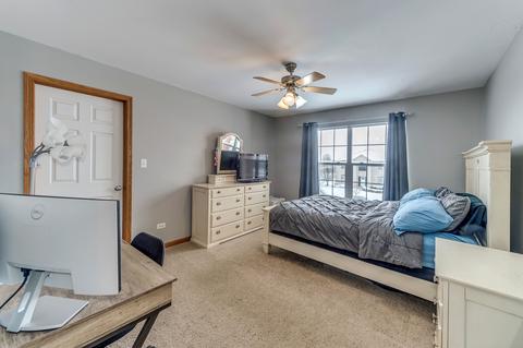 16341 Springview Dr, Lockport, IL 60441 photo 23