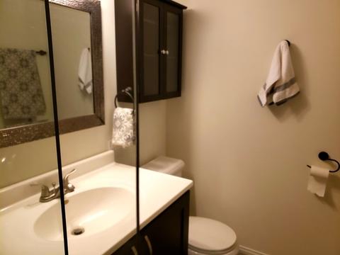 1335 Newcastle Ln, Hoffman Estates, IL 60169 photo 30