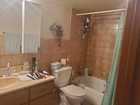 1441 E Thacker St #302, Des Plaines, IL 60016 photo 10