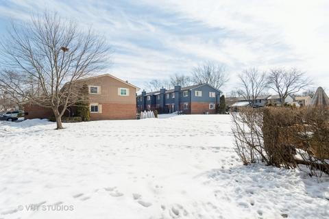 1459 Blackburn St, Wheaton, IL 60189 photo 13