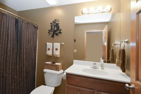 108 Marsh Hawk Dr, Le Roy, IL 61752 photo 21