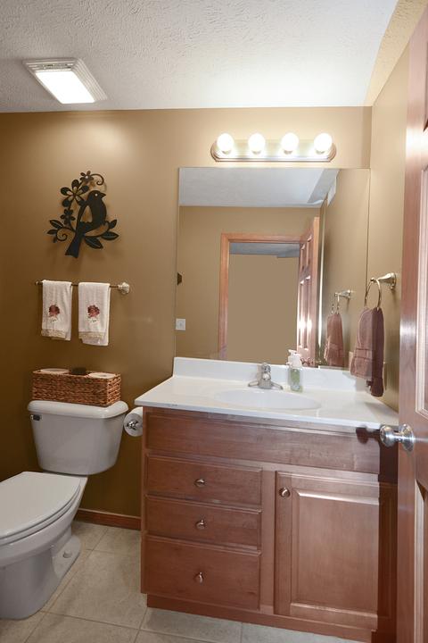 108 Marsh Hawk Dr, Le Roy, IL 61752 photo 22