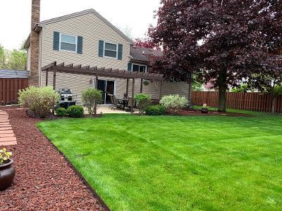 804 W Beechtree Ln, Bartlett, IL 60103 photo 19