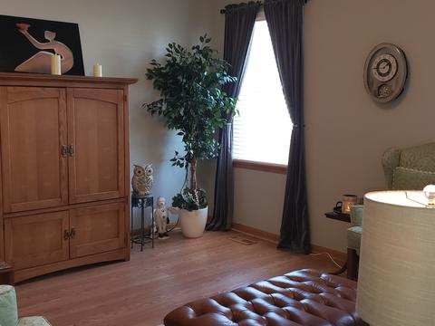 13758 S Hickory Ln, Plainfield, IL 60544 photo 5