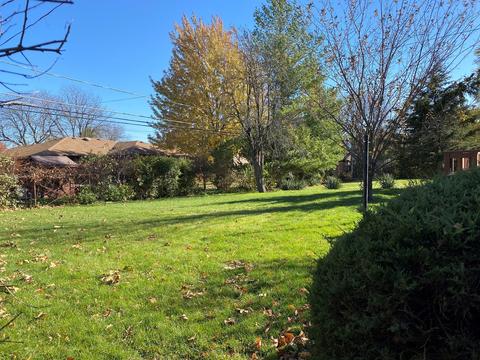 457 Cornell Ave, Des Plaines, IL 60016 photo 21