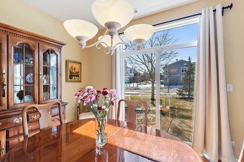 2826 Falling Waters Dr, Lindenhurst, IL 60046 photo 8