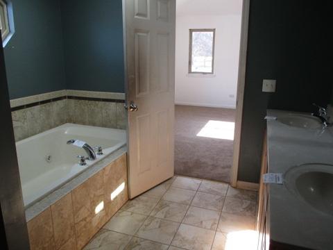 3775 Rose Manor Ter, Markham, IL 60426 photo 9