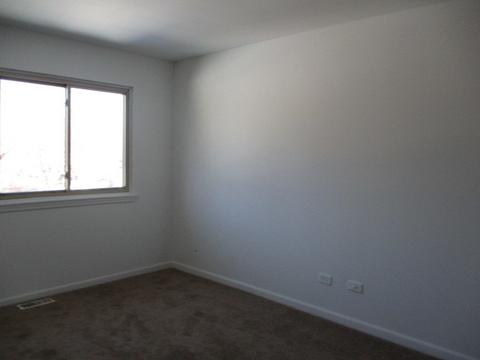 3775 Rose Manor Ter, Markham, IL 60426 photo 10