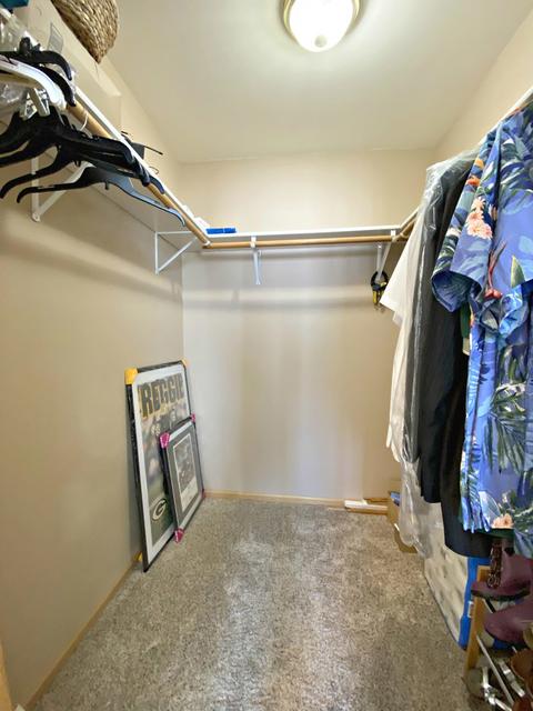 17918 Springbrook Cir, Union, IL 60180 photo 22