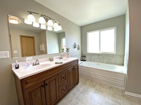 17918 Springbrook Cir, Union, IL 60180 photo 19