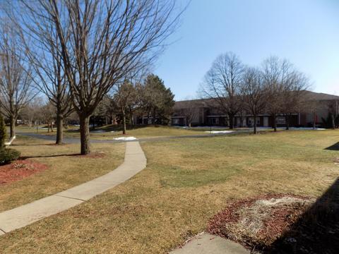 165 Dover Dr #8, Des Plaines, IL 60018 photo 11