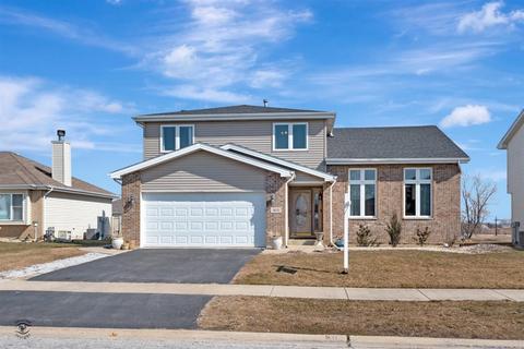 1611 Mallards Cv, Beecher, IL 60401 photo 1
