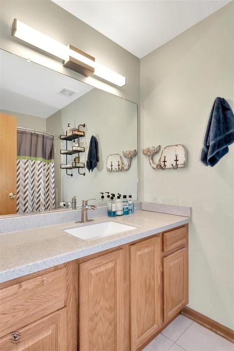 1611 Mallards Cv, Beecher, IL 60401 photo 16