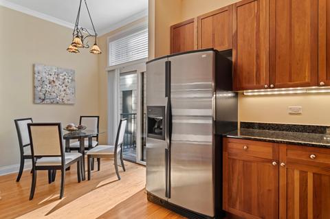 205 E 13th St, Chicago, IL 60605 photo 9