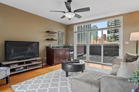 205 E 13th St, Chicago, IL 60605 photo 19