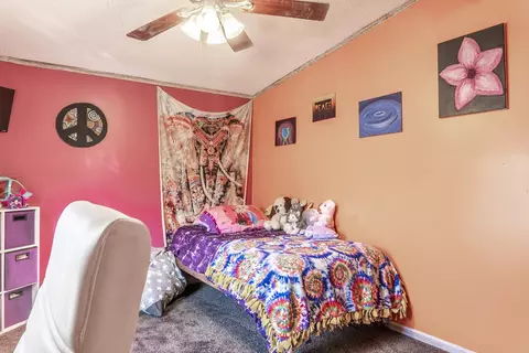 107 Downing Dr, Potomac, IL 61865 photo 35