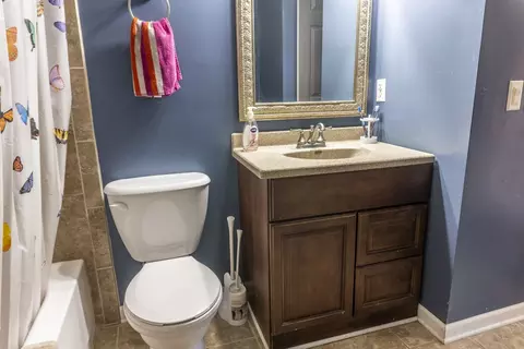 107 Downing Dr, Potomac, IL 61865 photo 32