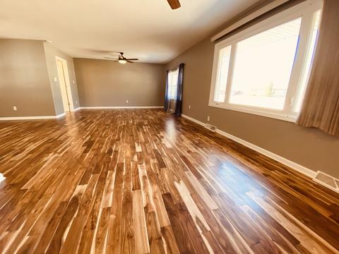 219 E William St, Dwight, IL 60420 photo 3