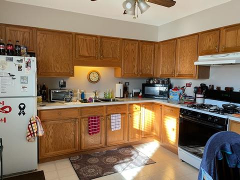 1401 Getzelman Dr, Elgin, IL 60123 photo 13