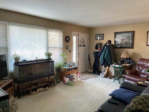 1401 Getzelman Dr, Elgin, IL 60123 photo 12