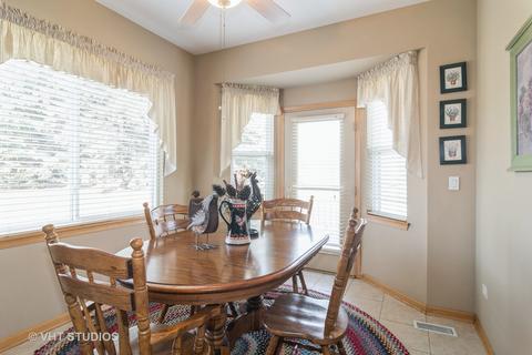 13723 S Redbud Dr, Plainfield, IL 60544 photo 8