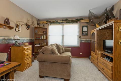 4809 Goodhue Ln, Plainfield, IL 60586 photo 5