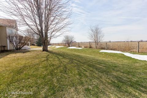 11638 Chesapeake Dr, Plainfield, IL 60585 photo 18