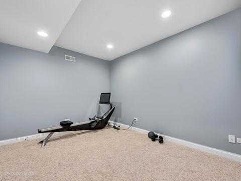 26519 Silverleaf Dr, Plainfield, IL 60585 photo 35