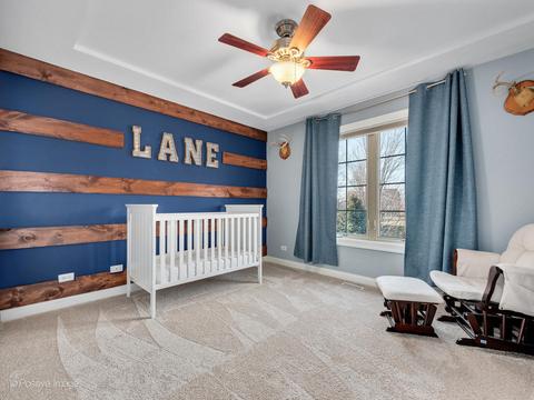 26519 Silverleaf Dr, Plainfield, IL 60585 photo 25
