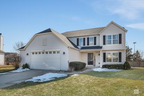 7529 Rosewind Dr, Plainfield, IL 60586 photo 1