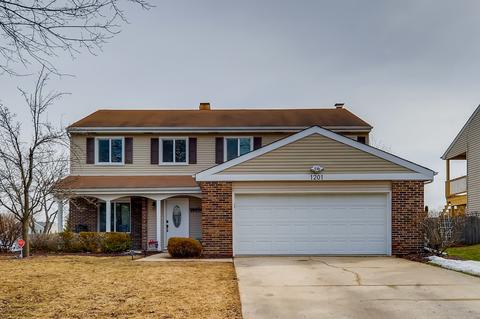 1201 S Appletree Ln, Bartlett, IL 60103 photo 1